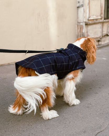 Manteau Léonard pour chien, porté, vue de dos