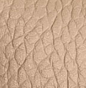 matiere-cuir-nude