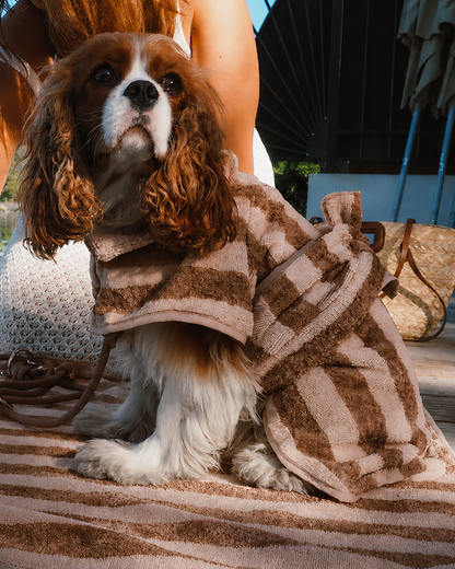 The dog bathrobe